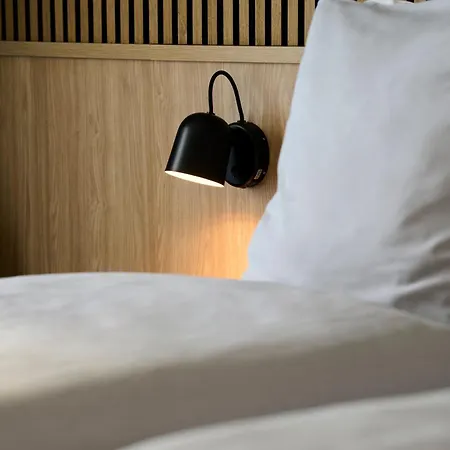Fjord 4* فابورغ